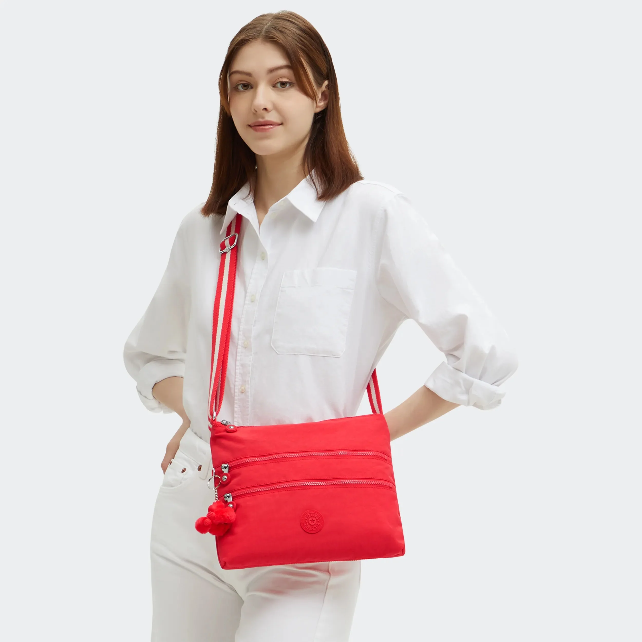 ALVAR - Image 7