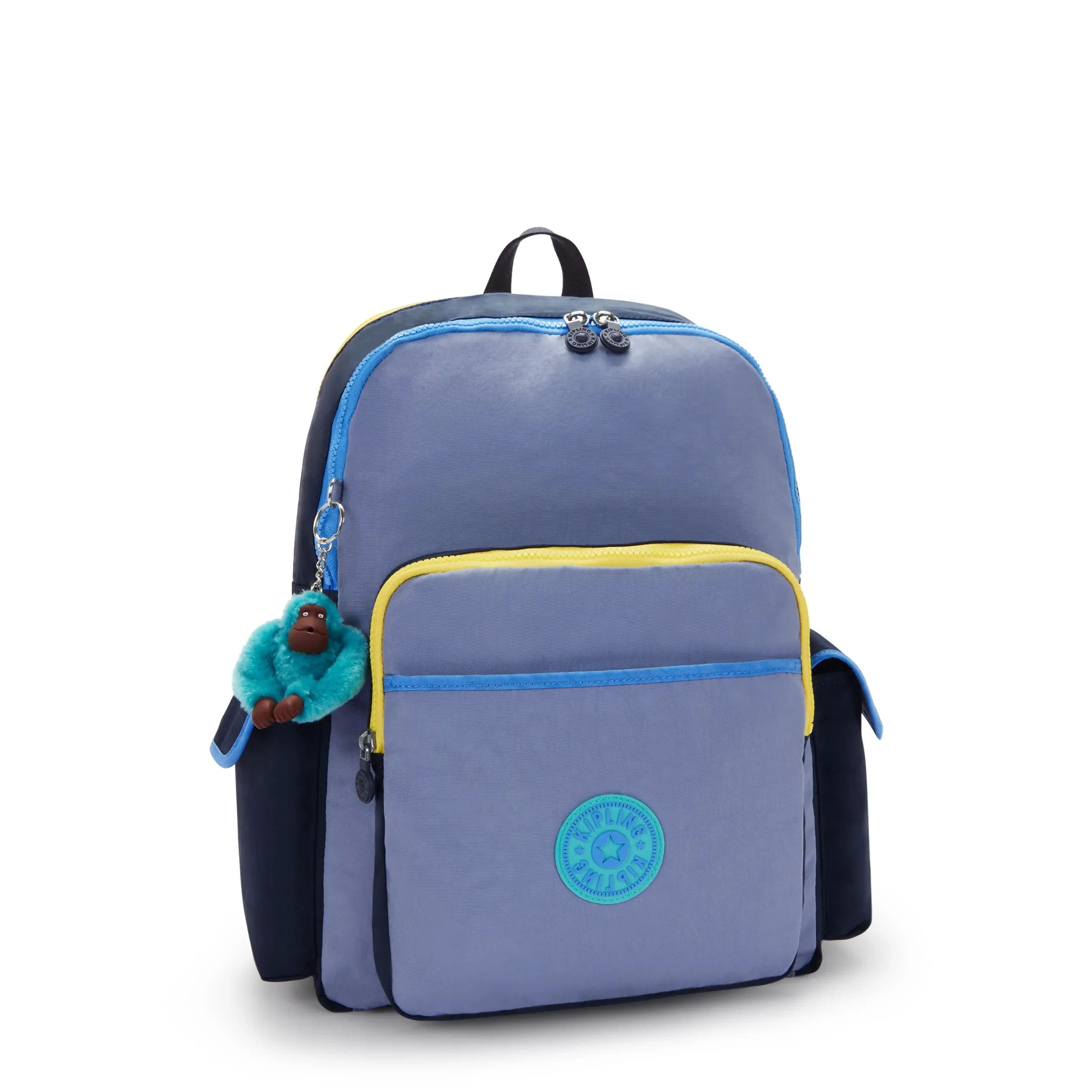 HOCTOR - Image 4