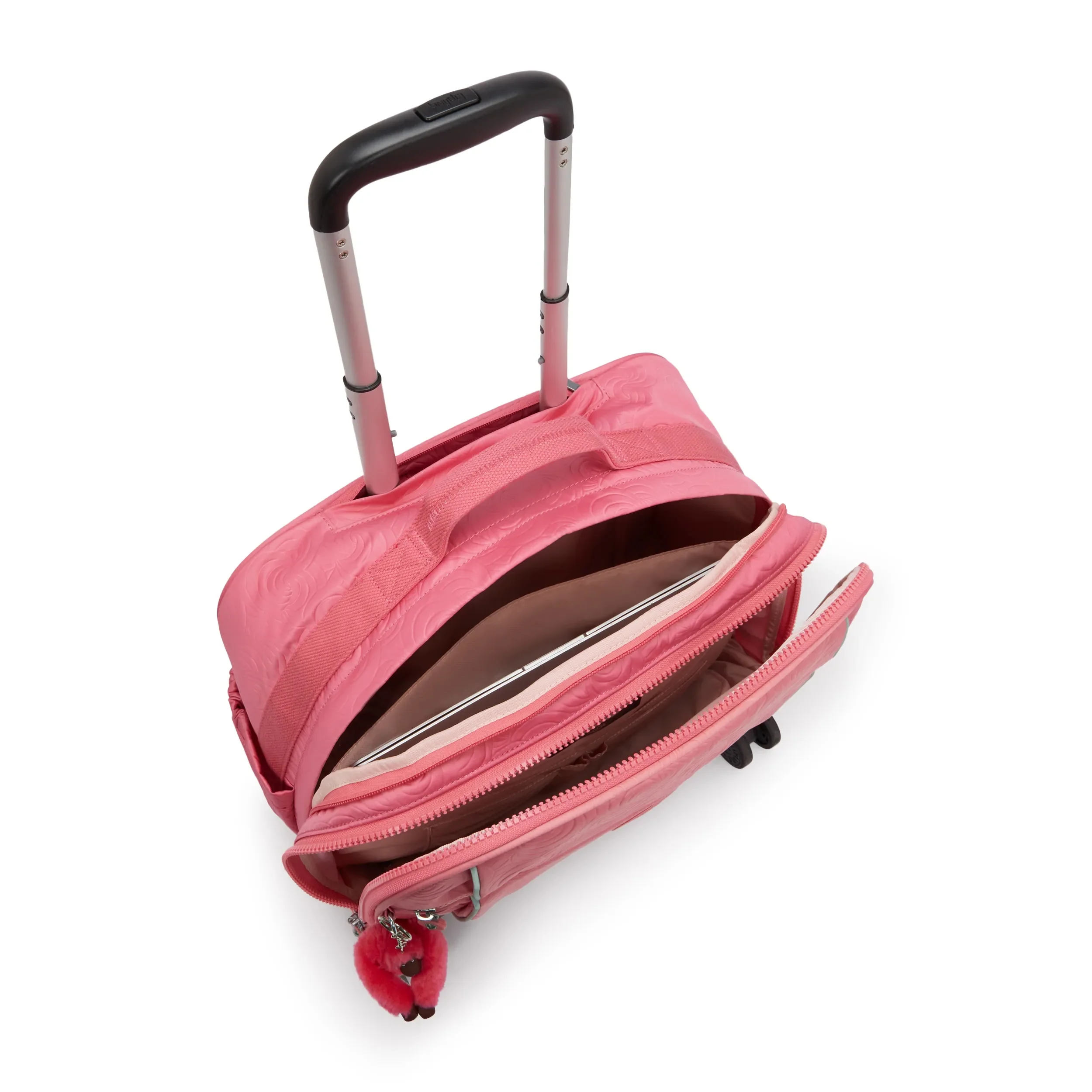 NEW STORIA - Image 4
