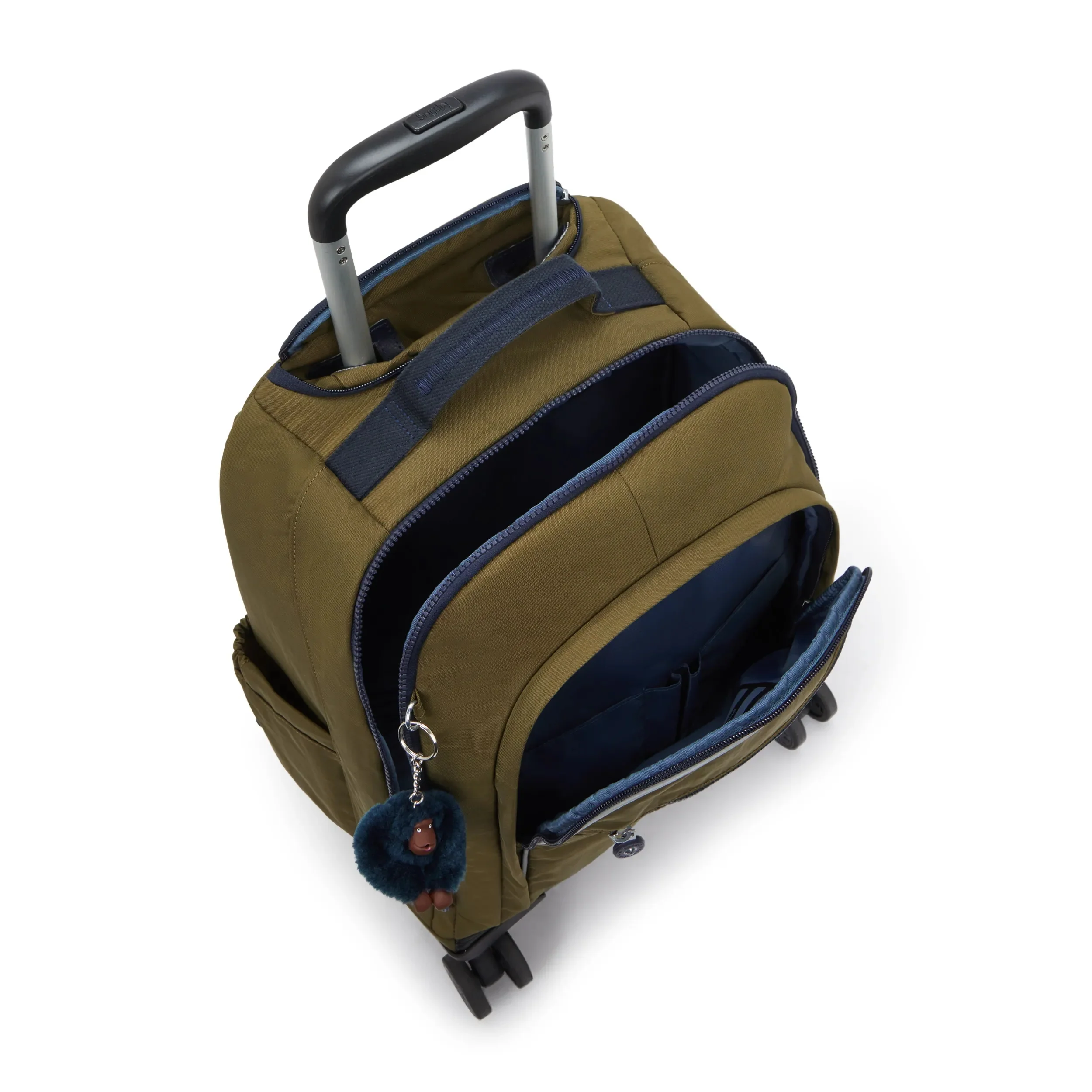 NEW ZEA - Image 4