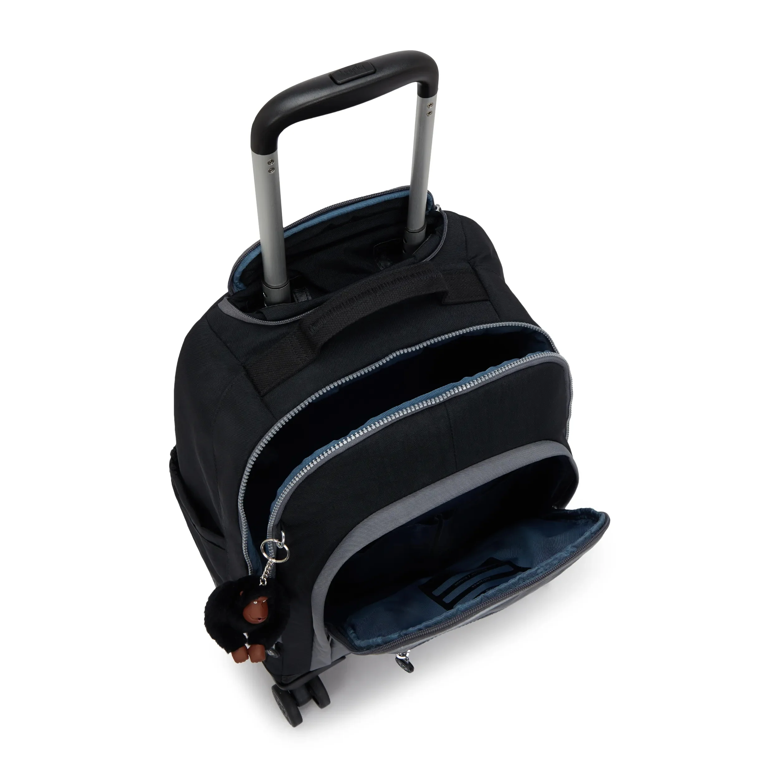 NEW ZEA - Image 4