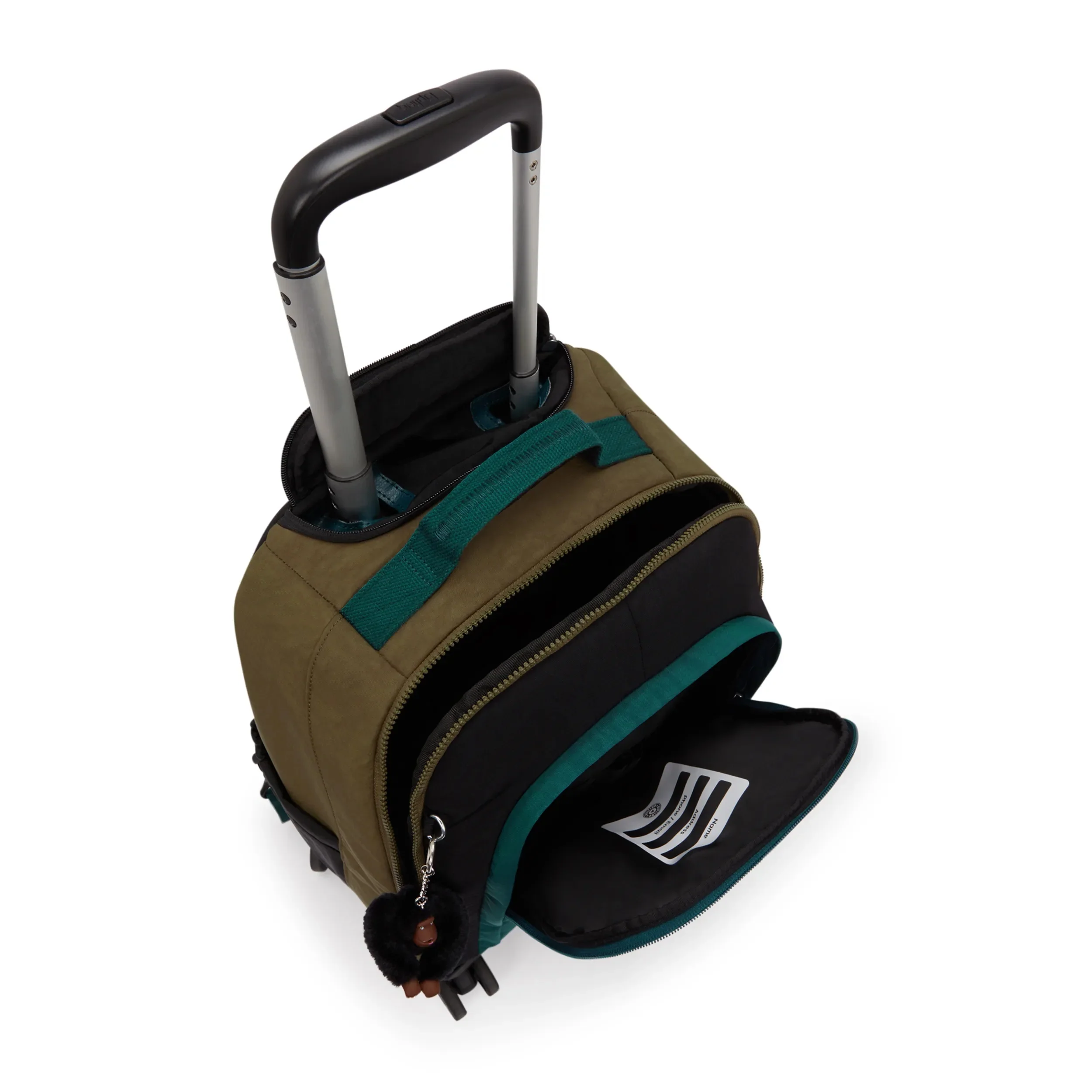 NEW ZEA - Image 4