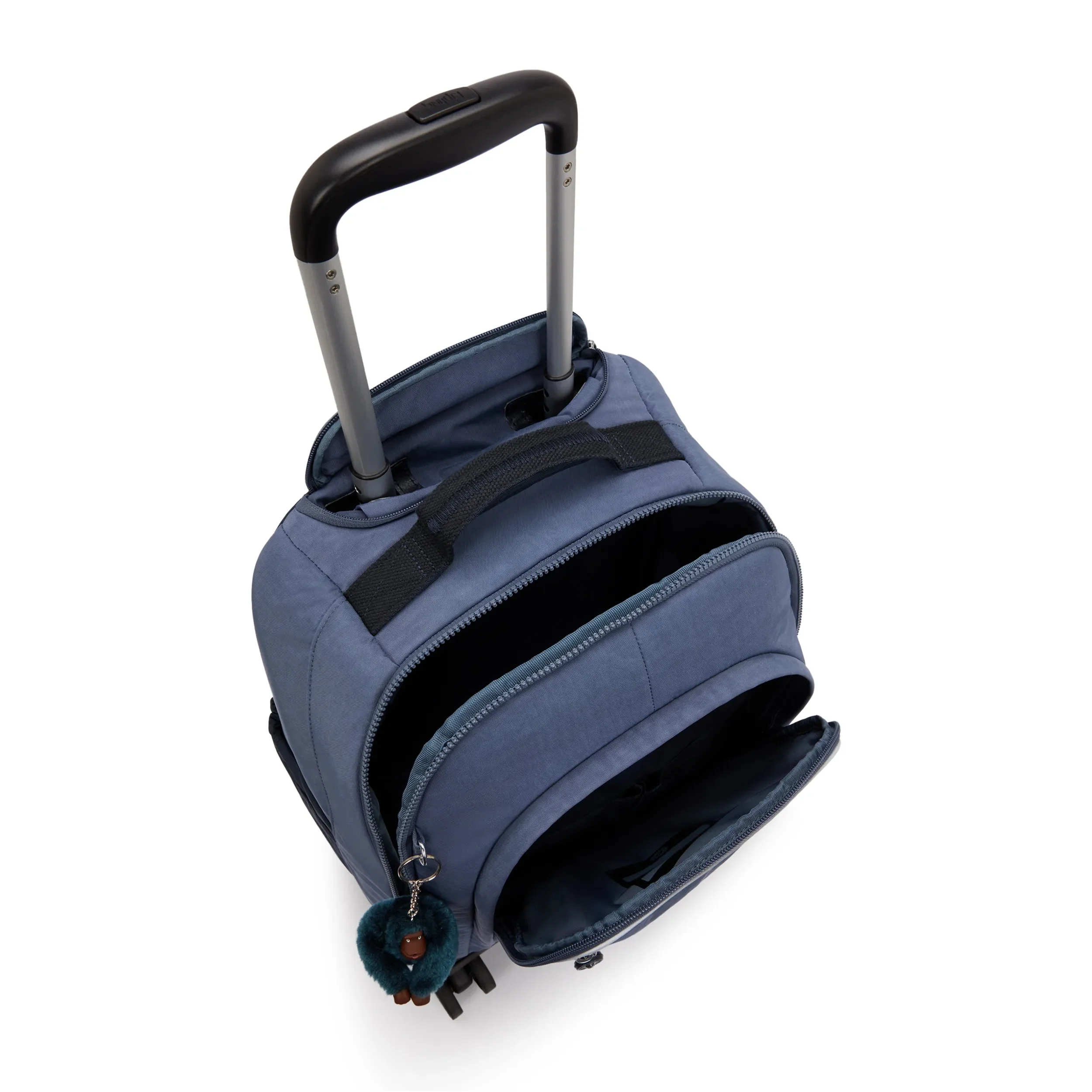 NEW ZEA - Image 4